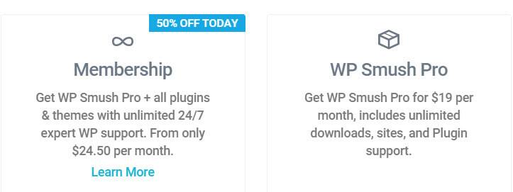 Options available to customers when purchasing a plugin through WPMUDEV