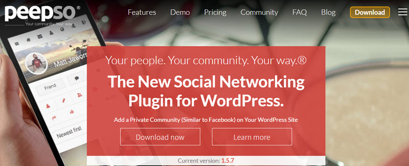 Peepso header - Quality Takes Time - Experts Answer: What Makes a Good Quality WordPress Plugin?