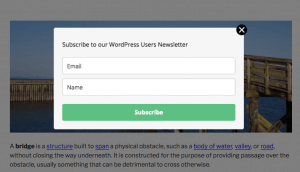 Pop-Up Manager Example3 - Newsletter