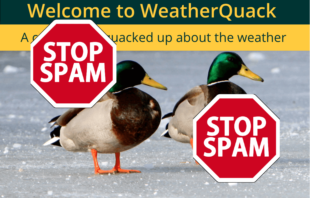 Weather Forecast: Cool WordPress Managing With no Chance of Spam Signups
