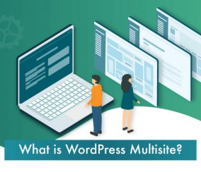 What is WordPress Multisite [WordPress 101]