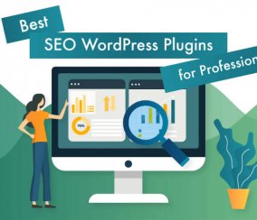 Best SEO WordPress Plugins for Professionals