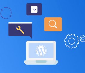 7 Best Mobile Optimization WordPress Plugins
