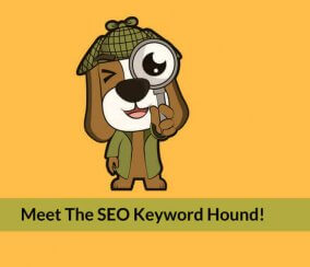 What Is a WordPress SEO Plugin? And Do I Need One?