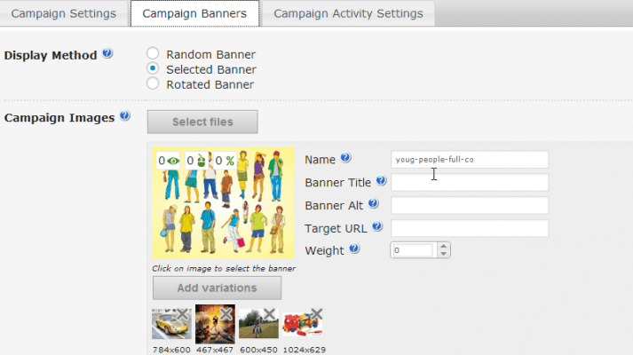 Campaign Banner Ad Setting Screen